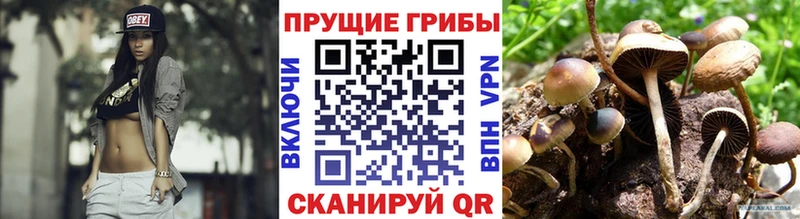 Галлюциногенные грибы MAGIC MUSHROOMS  Купить закладки  Тбилисская 